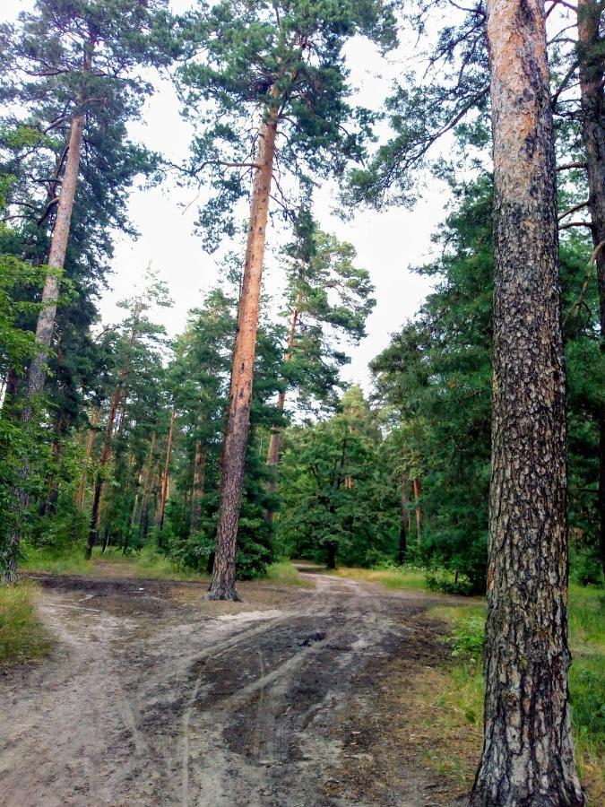 Guest House Kiev Forest Екстер'єр фото