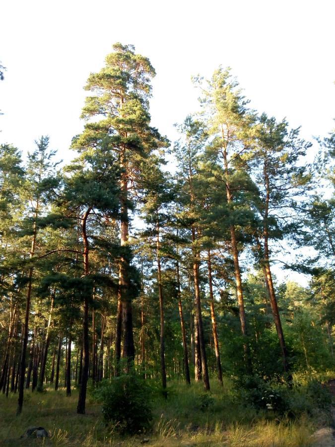 Guest House Kiev Forest Екстер'єр фото